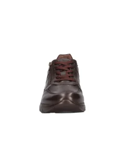 Scarpa casual Nero Giardini da uomo testa di moro