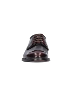 Scarpa elegante Exton da uomo bordeaux