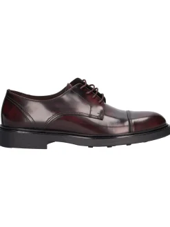 Scarpa stringata Exton da uomo bordeaux