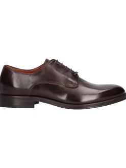 Scarpa stringata Nero Giardini da uomo marrone