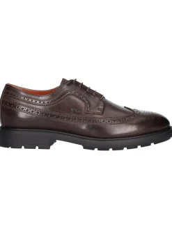 Scarpa stringata Nero Giardini da uomo marrone