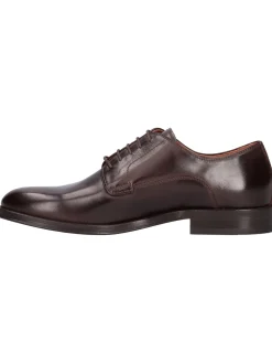 Scarpa stringata Nero Giardini da uomo marrone