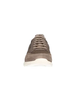 Sneaker Geox Damiano da uomo taupe